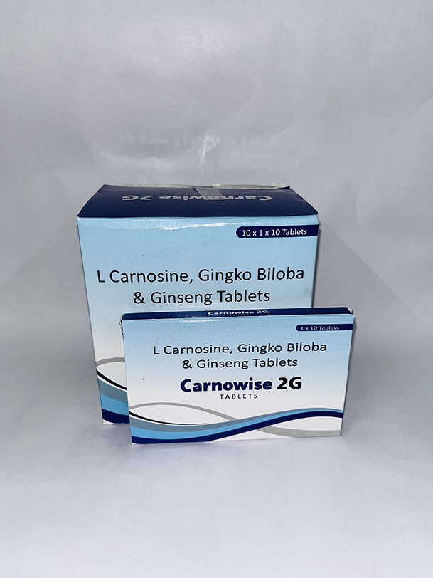 CARNOWISE 2G TABLET